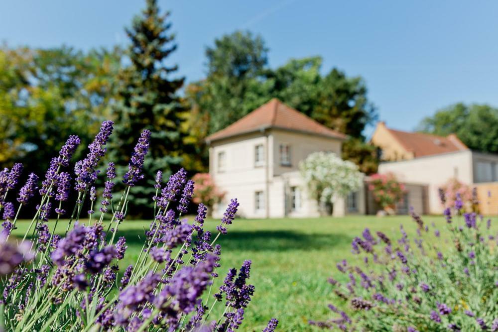 Landhaus Am Jungfernsee Potsdam Ngoại thất bức ảnh